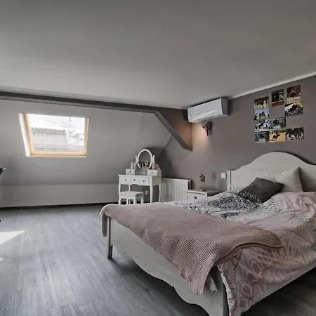 Aux Grains De Raisin - 6 Personnes - Cour Privee Scherwiller