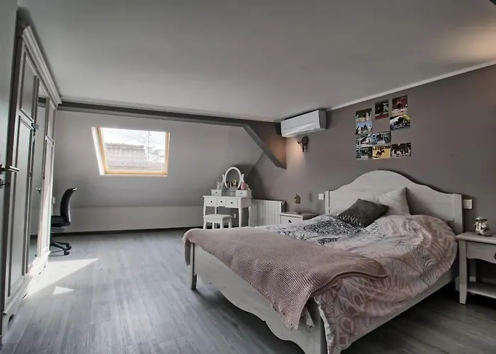 Aux Grains De Raisin - 6 Personnes - Cour Privee Scherwiller