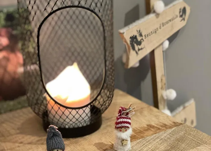 Aux Grains De Raisin - 6 Personnes - Cour Privee Scherwiller